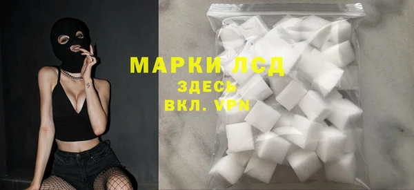 индика Семилуки