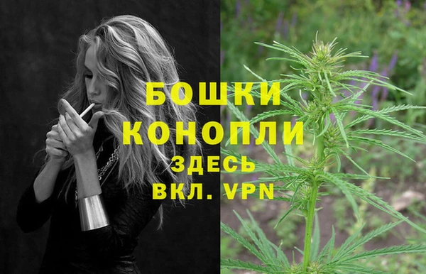 сатива Алзамай