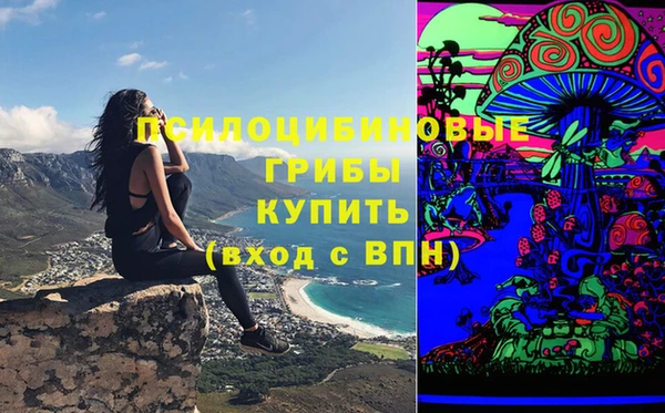 стаф Алексеевка