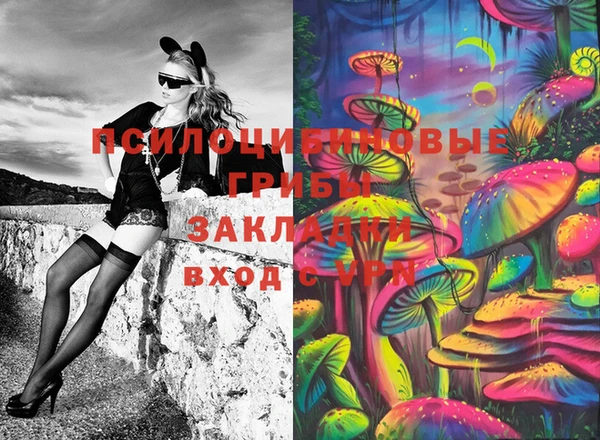 стаф Алексеевка