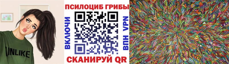Галлюциногенные грибы GOLDEN TEACHER  мориарти официальный сайт  KRAKEN зеркало  Далматово  закладки 